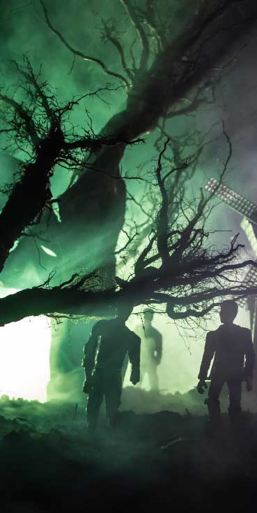 Spooky haunted house setup with eerie trees and fog at Wvec West Valley Events Complex, Phoenix, Arizona.